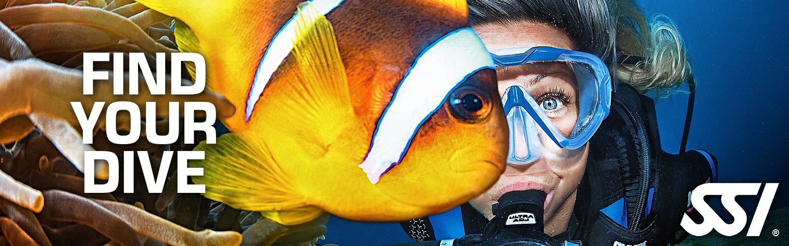 formation maître nageur international